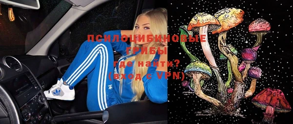 ешки Алексин
