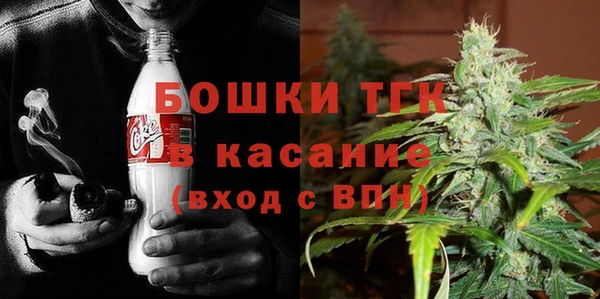 гидропоника Алзамай