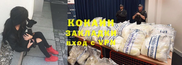 ешки Алексин